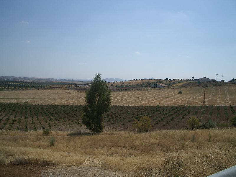 Zuid Spanje 2008 228.jpg